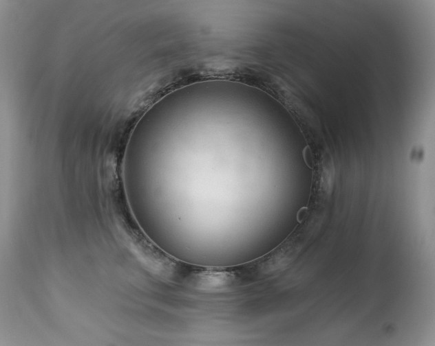 X0000113120711200908281438