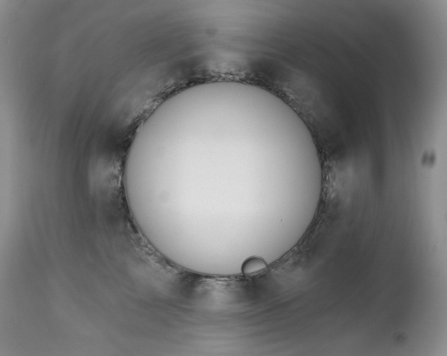 X0000113120713200908281438