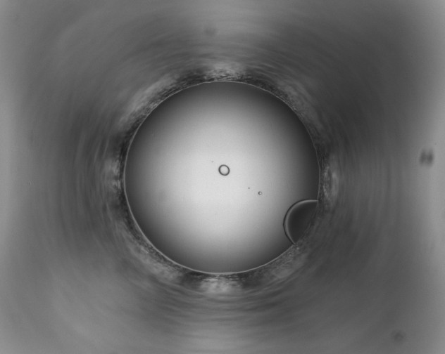 X0000113120714200908281438