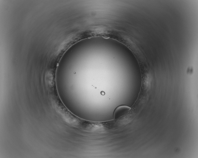 X0000113120715200908281438