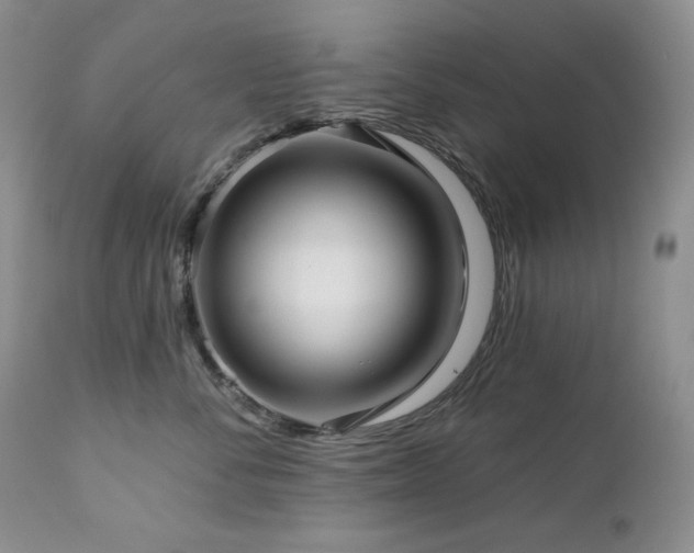 X0000113120716200908281438