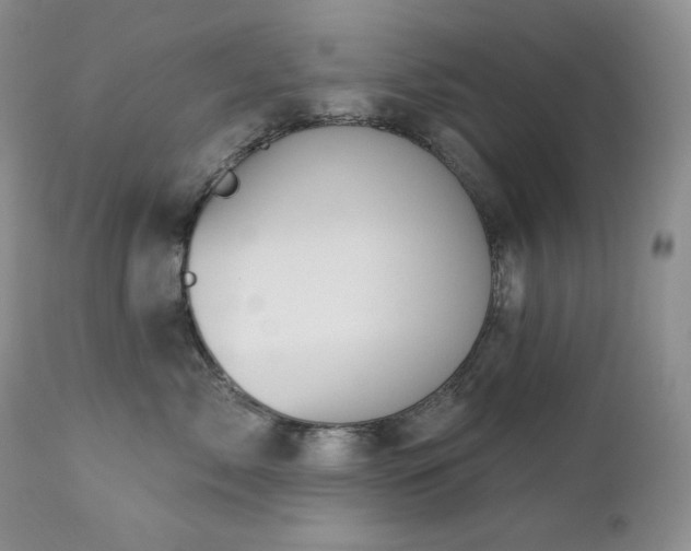 X0000113120717200908281437