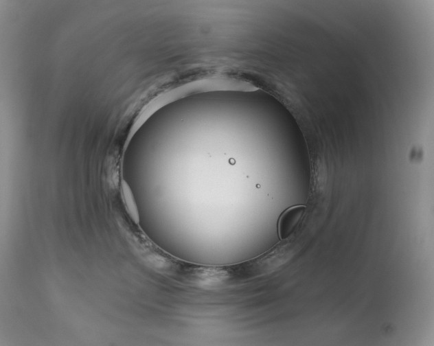 X0000113120719200908281437