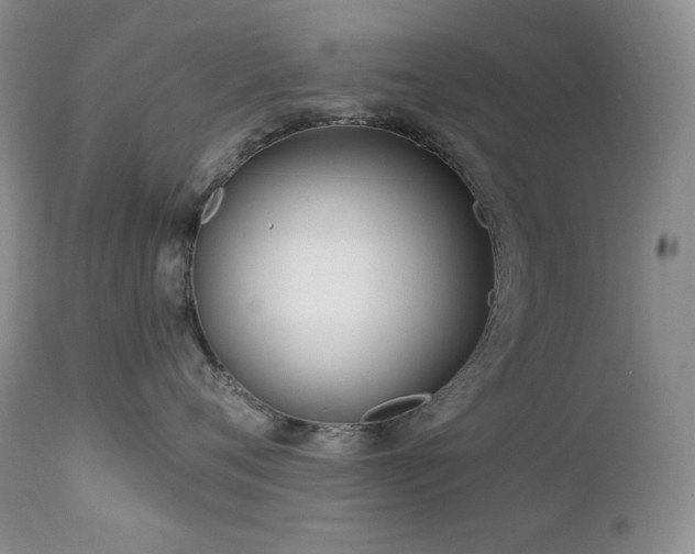 X0000113120720200908281437