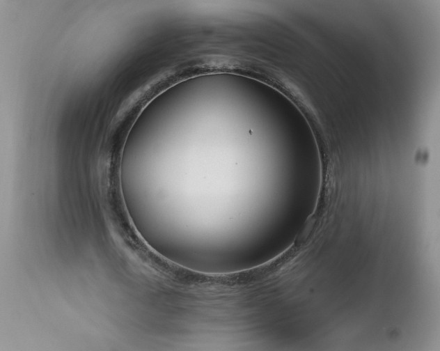 X0000113120722200908281437