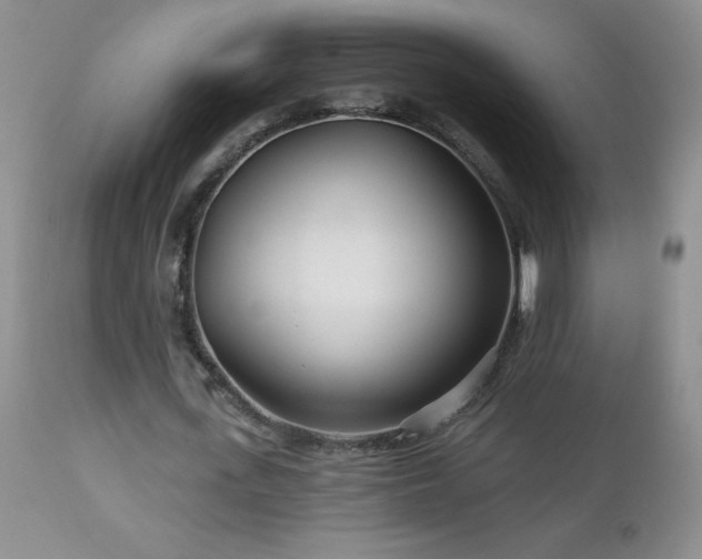 X0000113120723200908281437