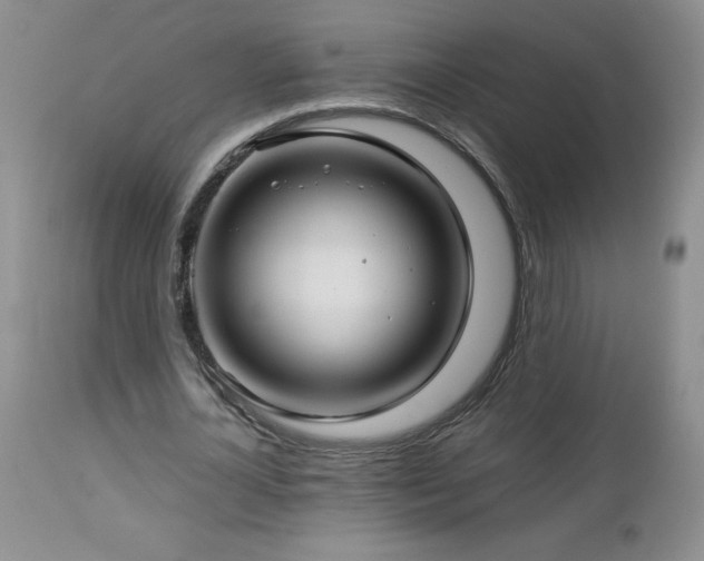 X0000113120724200908281437