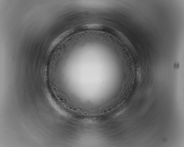 X0000113120725200908281437