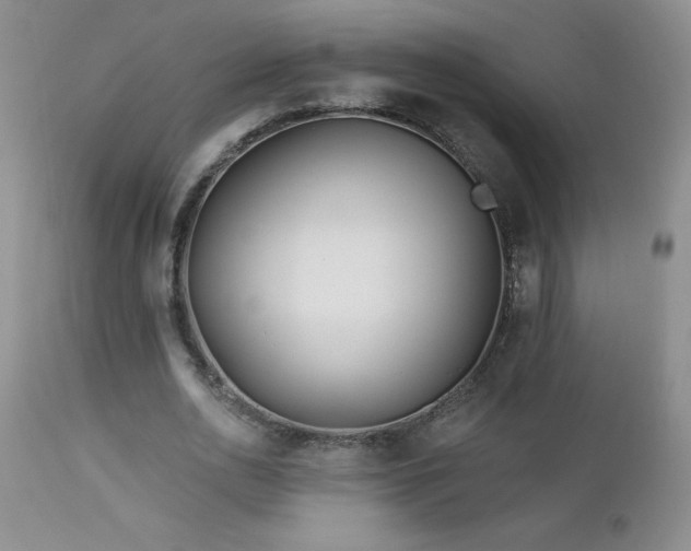 X0000113120726200908281437