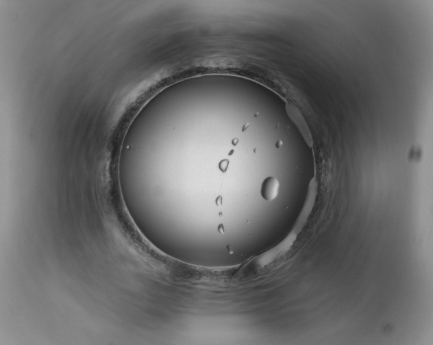 X0000113120727200908281437