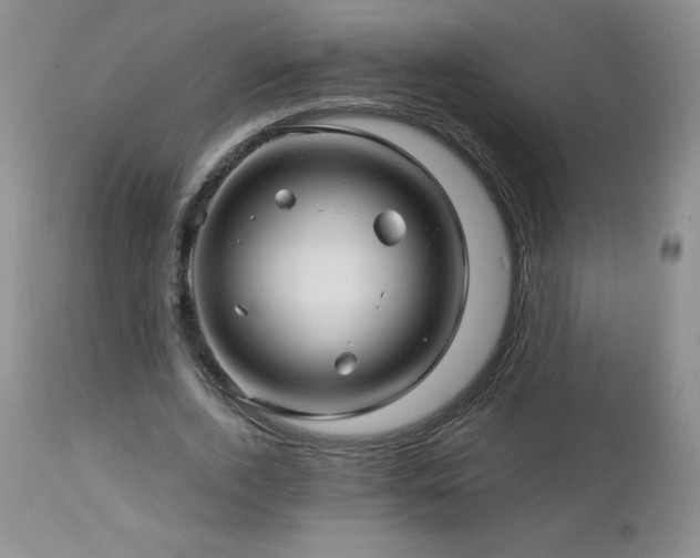 X0000113120728200908281437