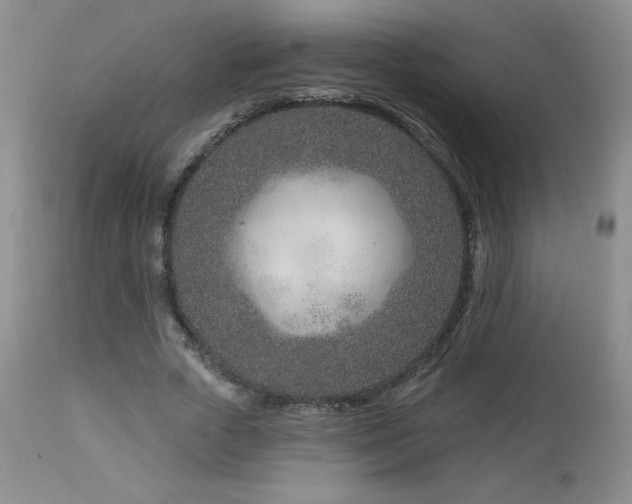 X0000113120729200908281437