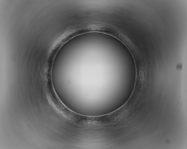 X0000113120730200908281437