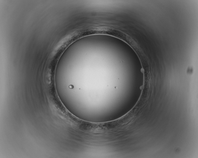 X0000113120731200908281437