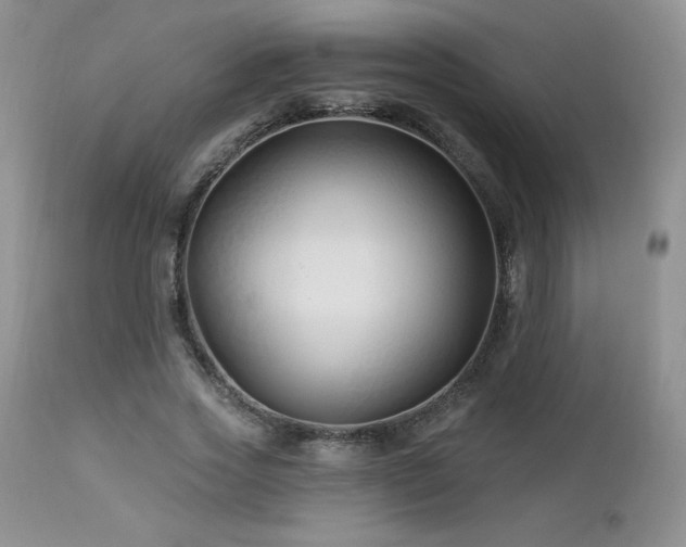 X0000113120733200908281437