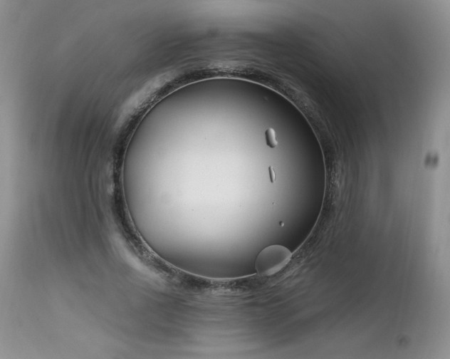 X0000113120734200908281437