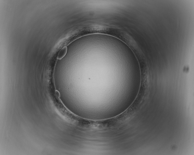 X0000113120736200908281437