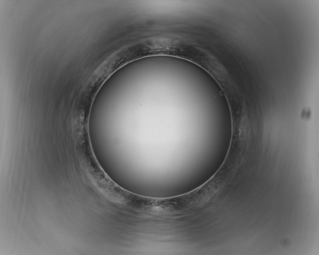 X0000113120737200908281437