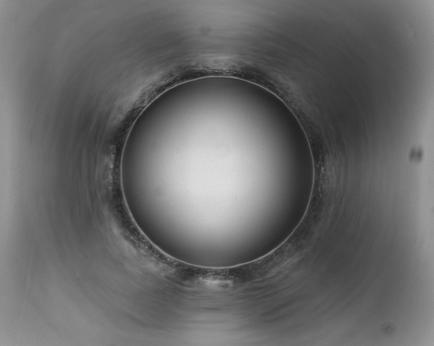 X0000113120739200908281437