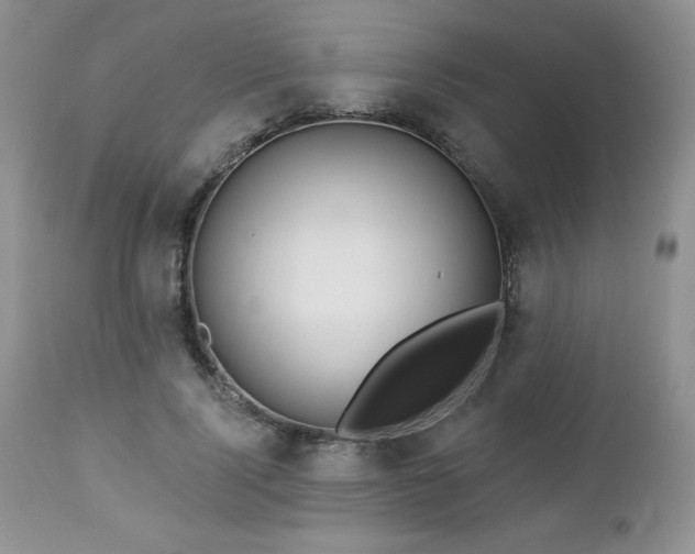 X0000113120740200908281437