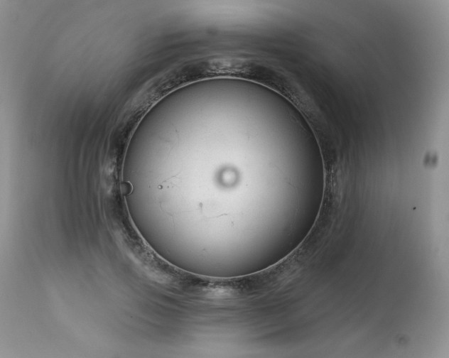 X0000113120741200908281437