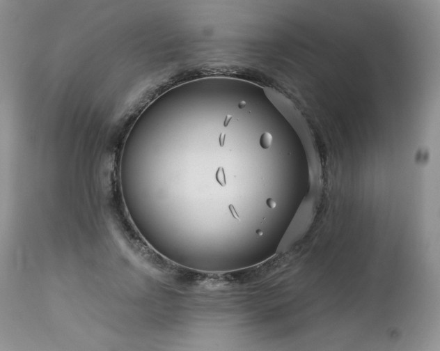 X0000113120742200908281437