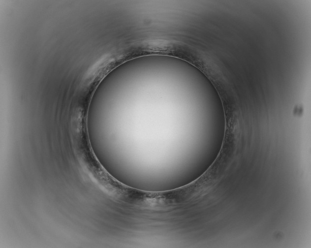 X0000113120744200908281437