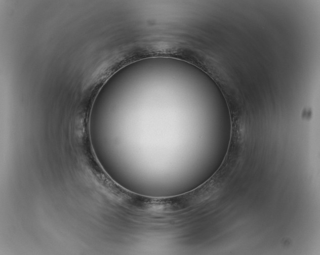 X0000113120746200908281437