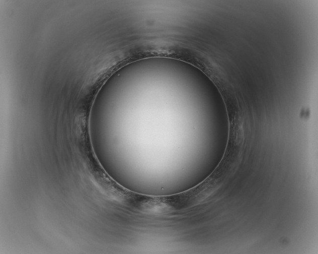 X0000113120747200908281437