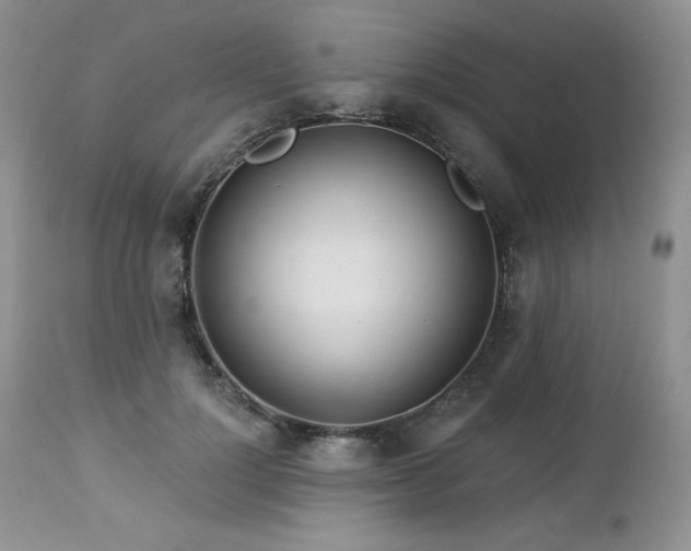 X0000113120748200908281437