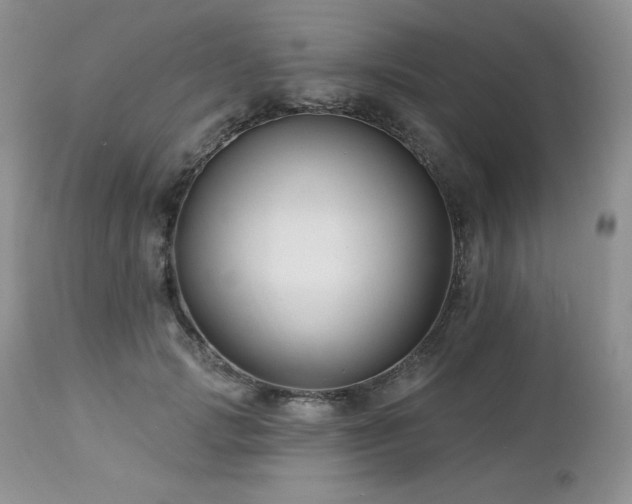 X0000113120749200908281437