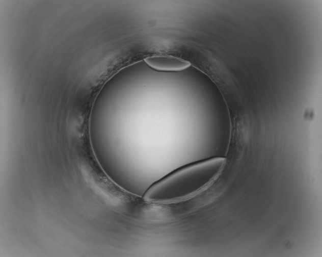 X0000113120750200908281437