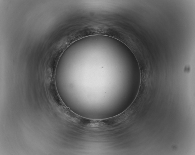 X0000113120752200908281437