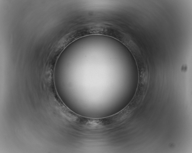 X0000113120753200908281437