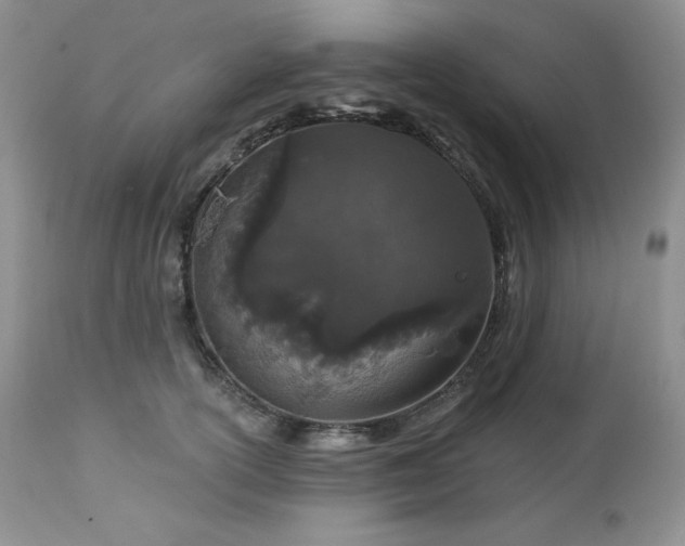 X0000113120754200908281437