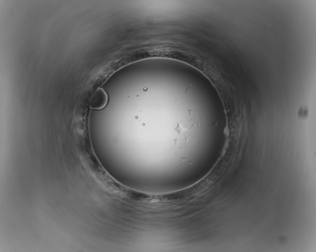 X0000113120755200908281437