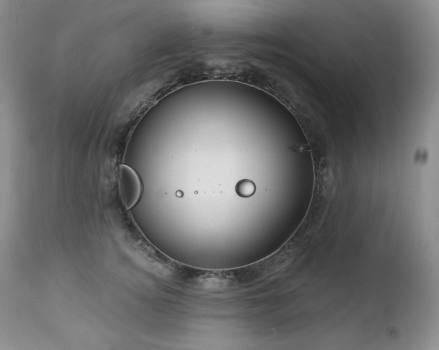 X0000113120756200908281437