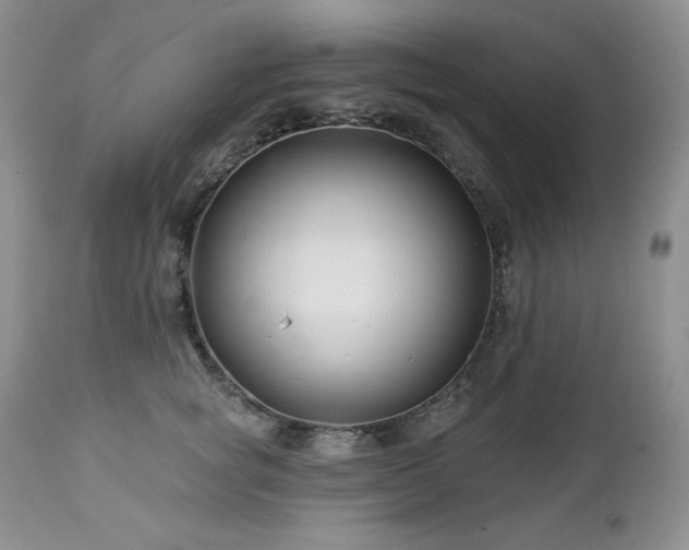 X0000113120757200908281437