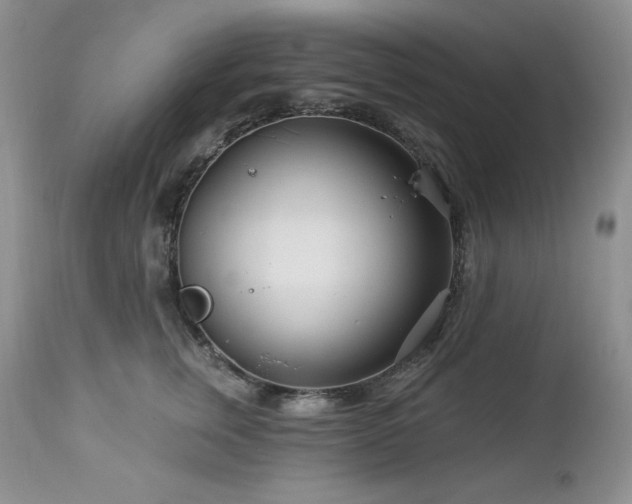 X0000113120759200908281437