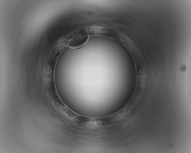 X0000113120760200908281437