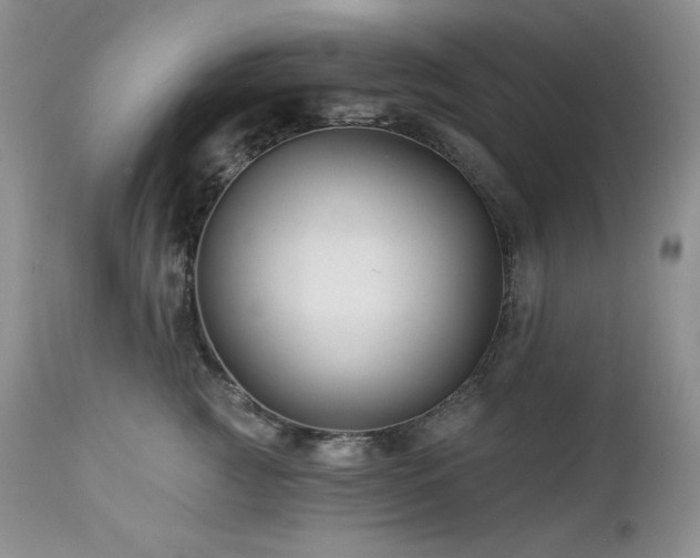 X0000113120761200908281437