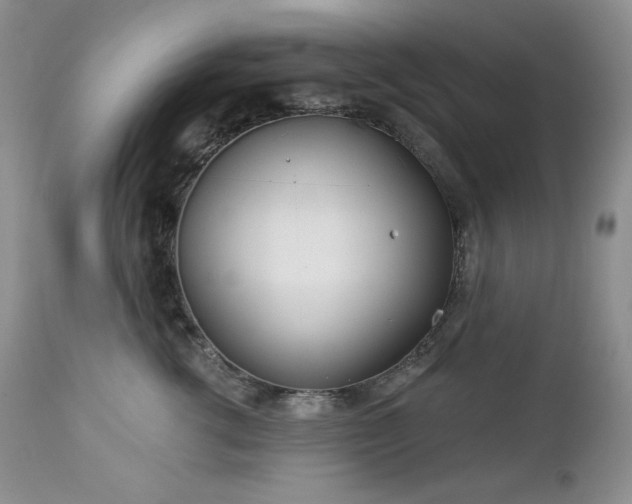 X0000113120762200908281437