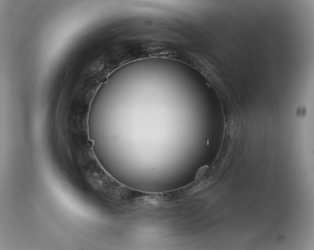 X0000113120763200908281437