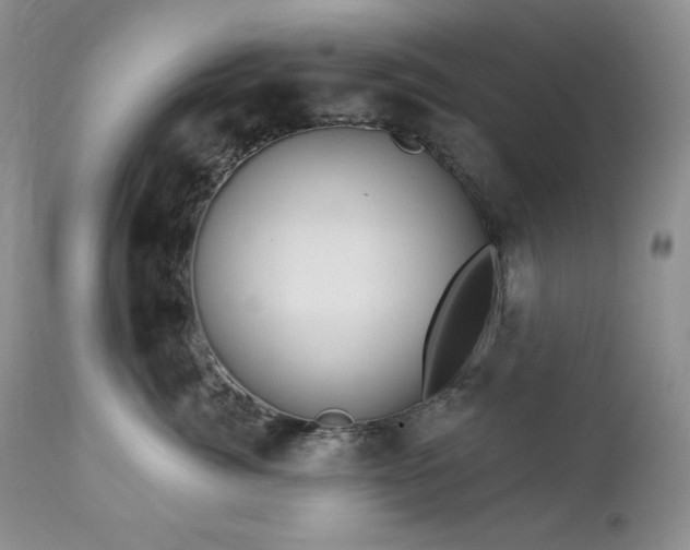 X0000113120764200908281437