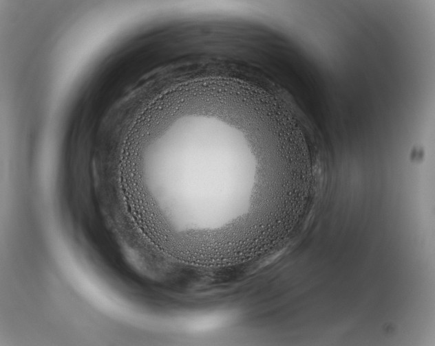 X0000113120765200908281437