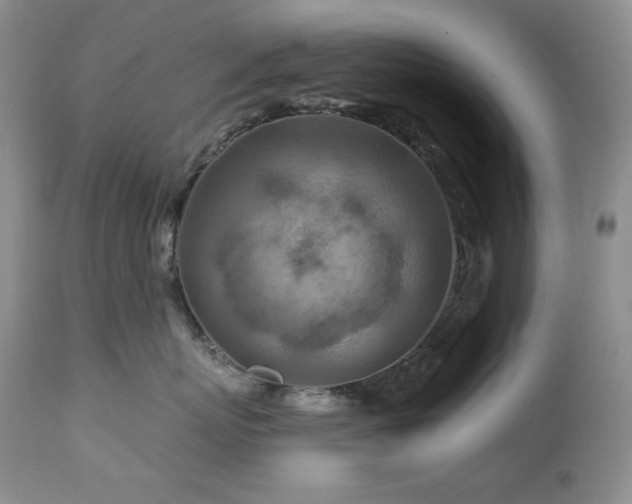 X0000113120767200908281437