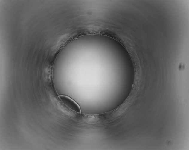 X0000113120768200908281437