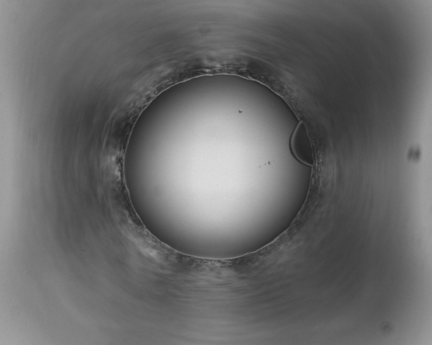 X0000113120770200908281437