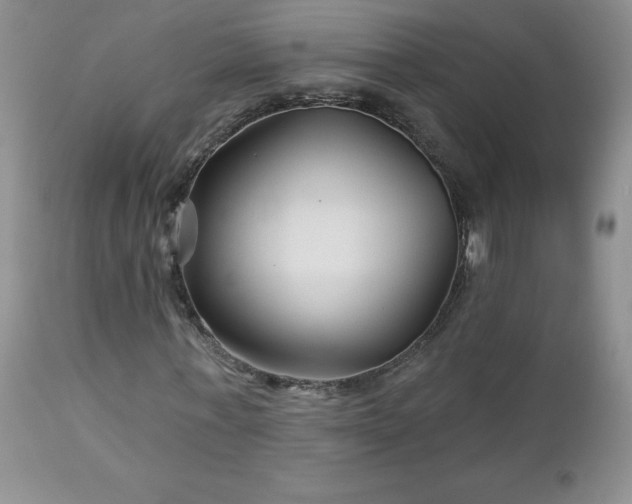 X0000113120771200908281437