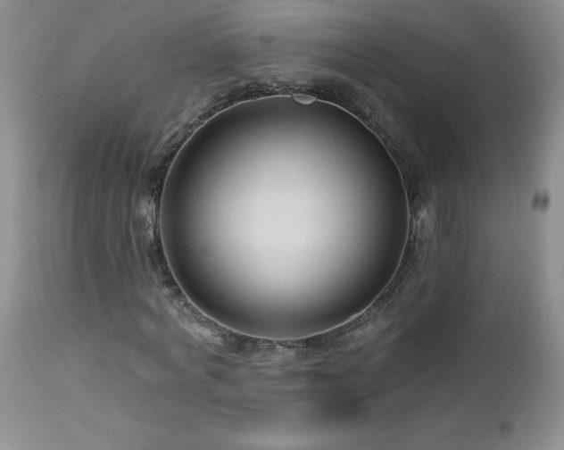 X0000113120772200908281437